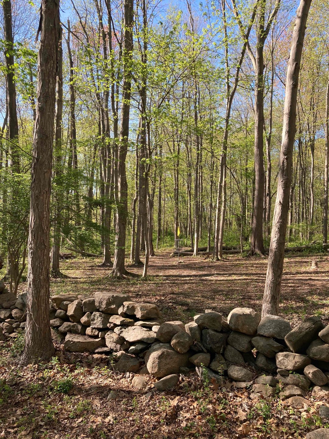 View from Hole 16 fairway toward basket