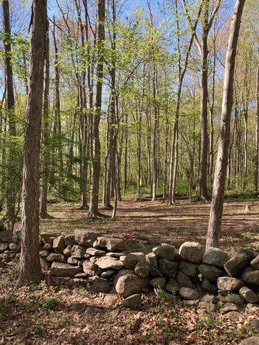 View from Hole 16 fairway toward basket