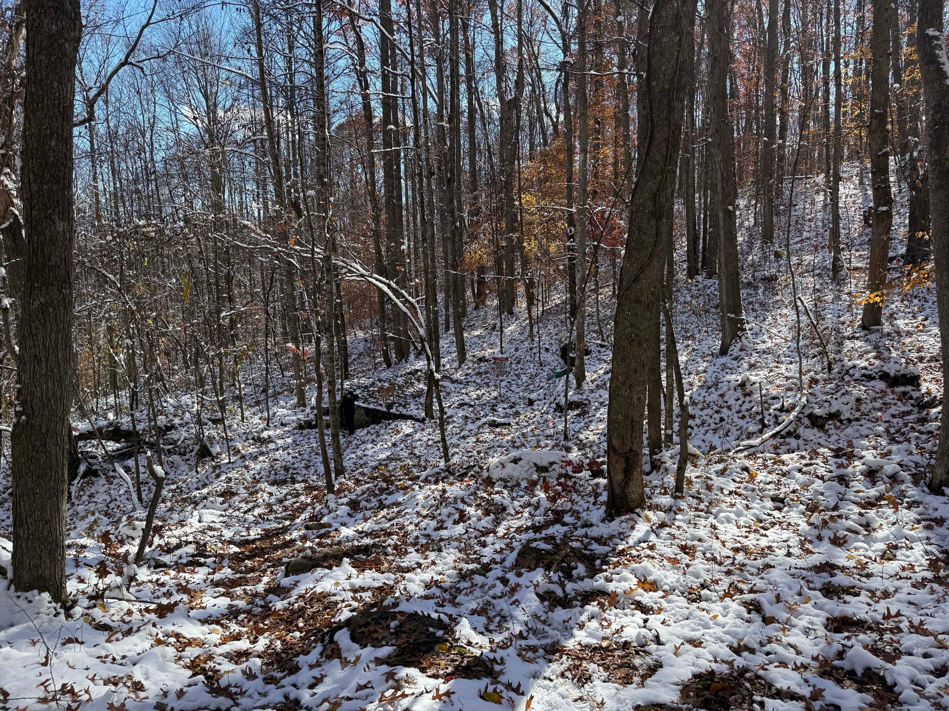 View of basket from fairway