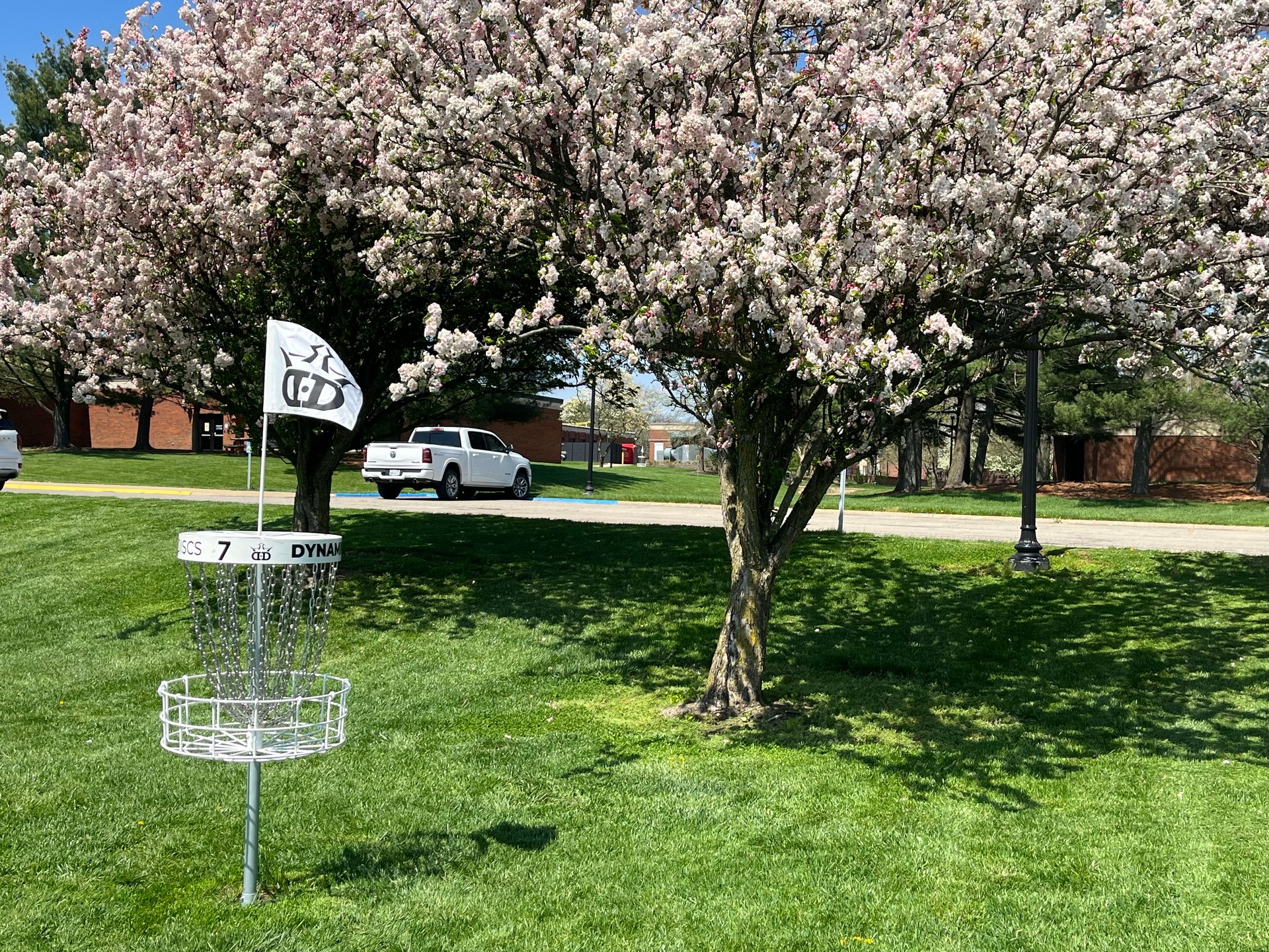 Hole 7 basket