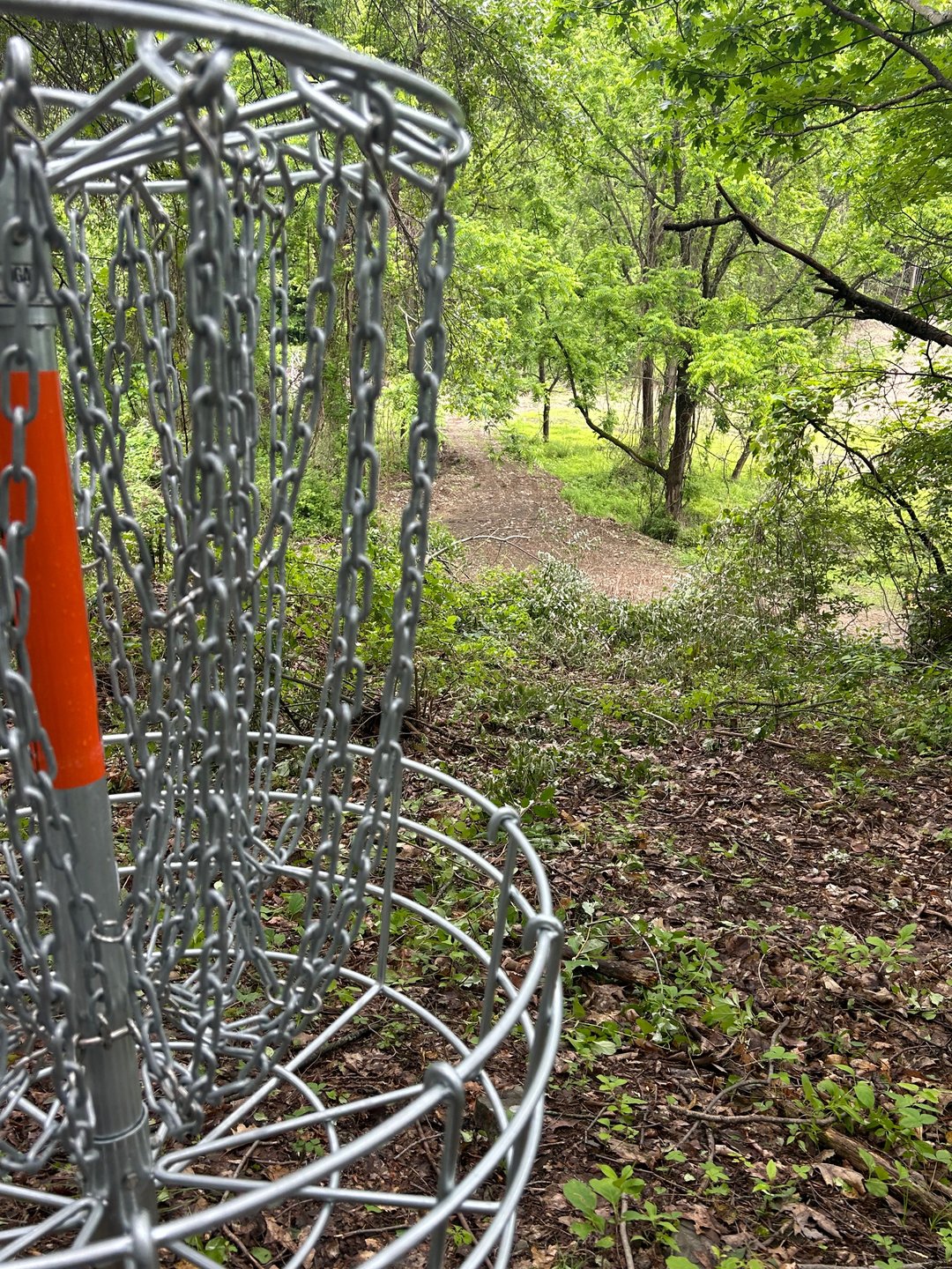 Hole 4 basket weekend 
Hole 7 basket weekday