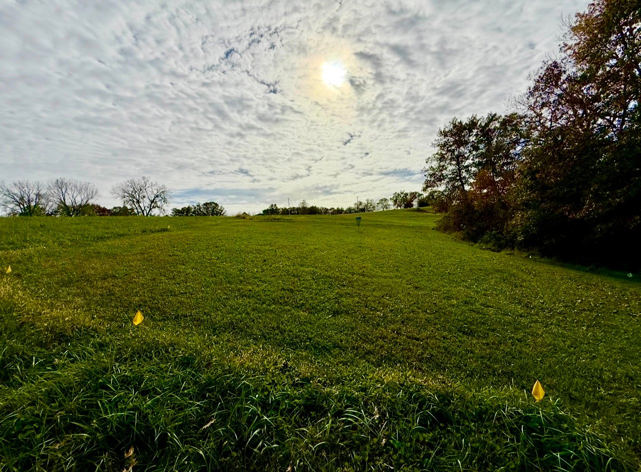 Hole 5 - Island green after second forced carry. 