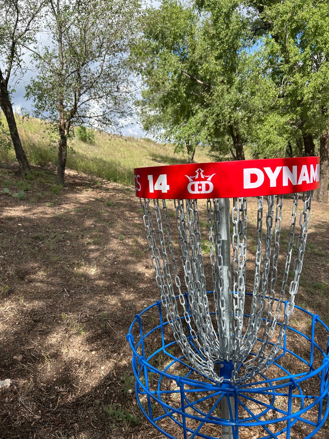Looking up toward the tee - a downhill diagonal into the trees.