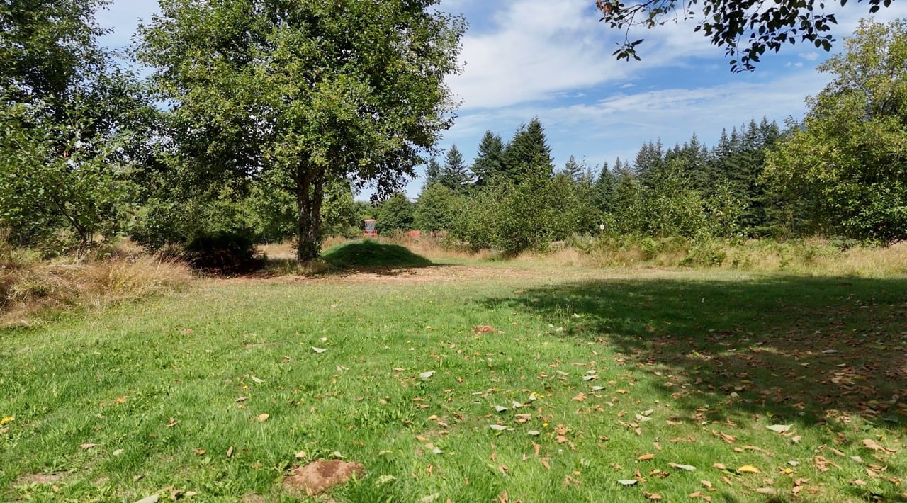 Hole 13 mound pin