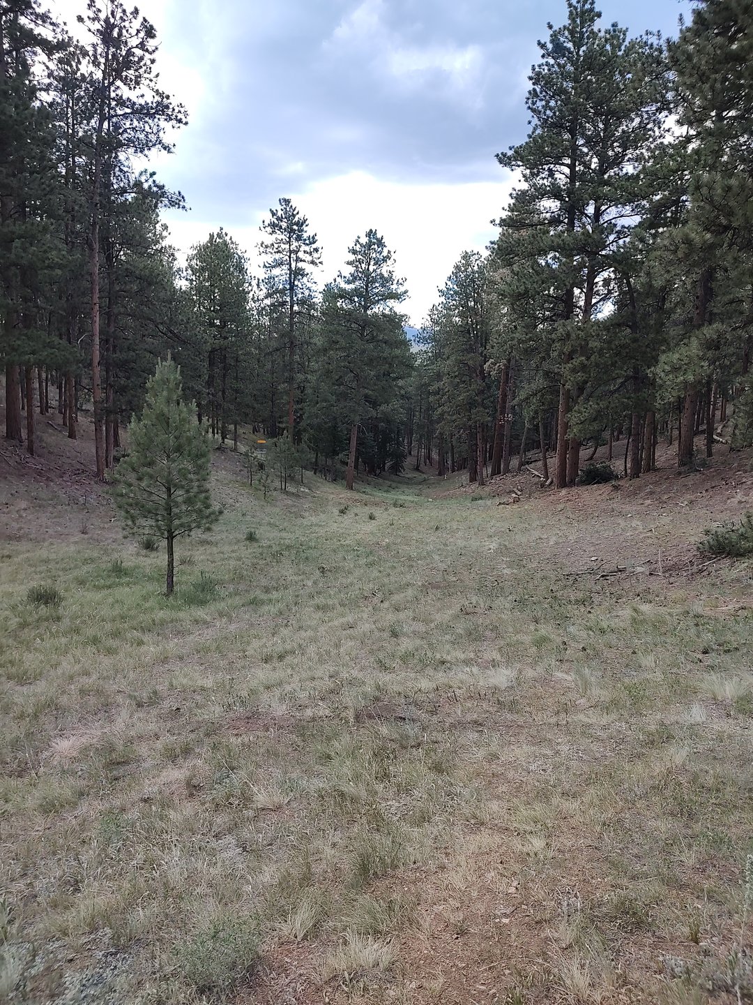 About halfway down Fairway 1