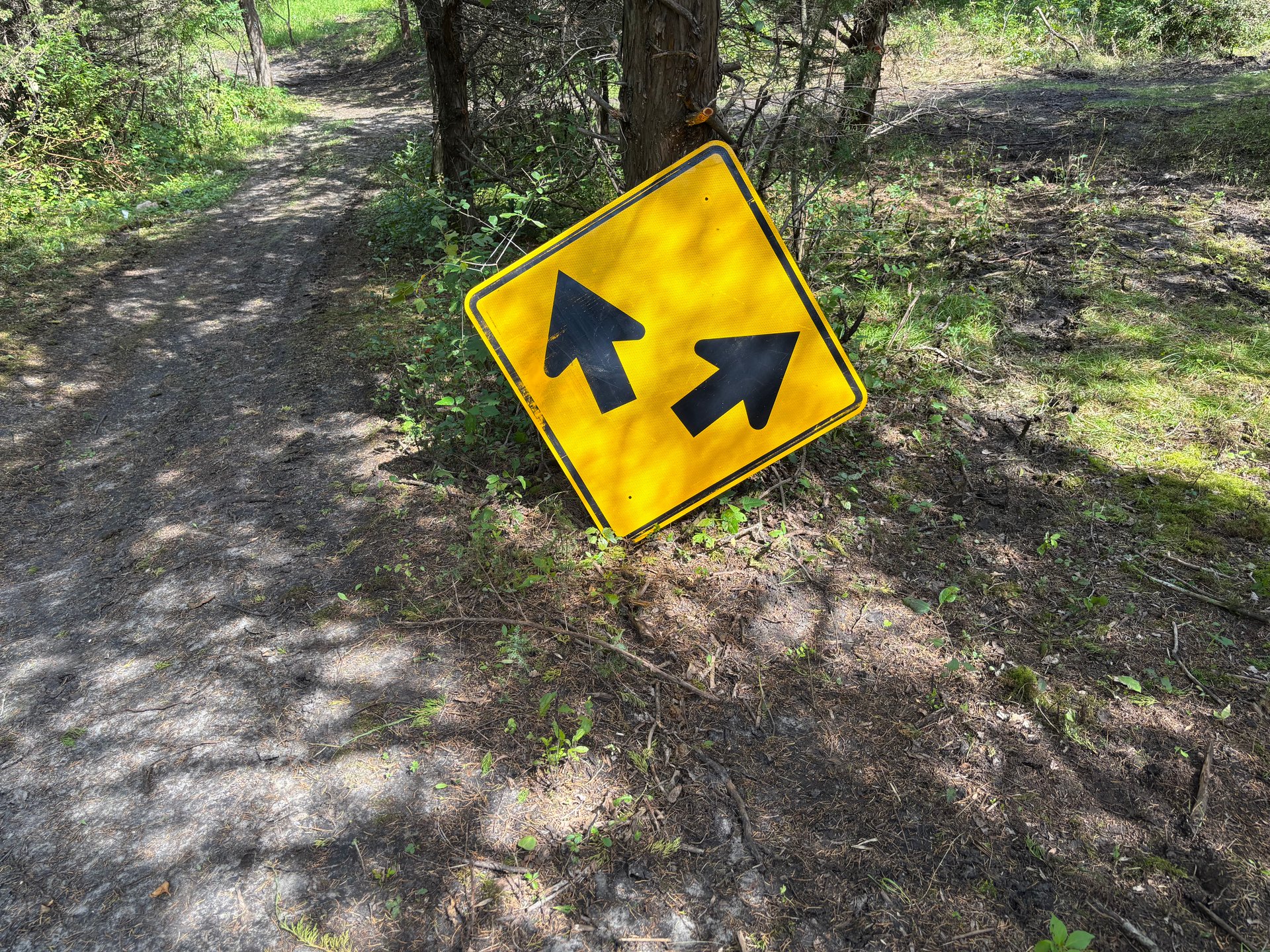 You pick your route