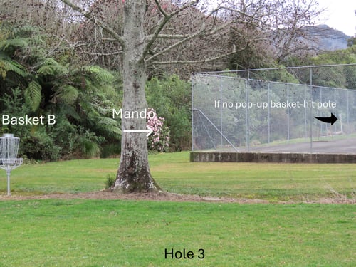 Tee from behind tree closest to basket B (mando right hand sight of tree)
