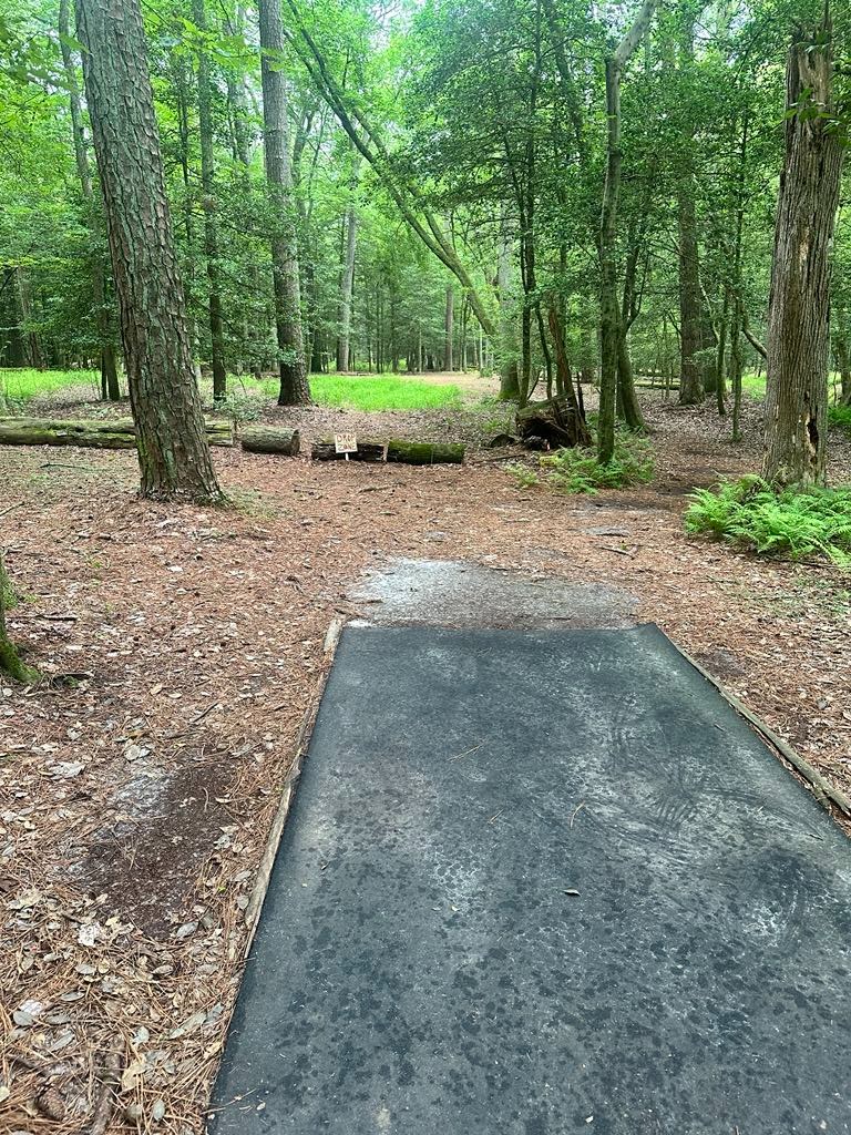 View from Long.. Dog leg right... all 3 pins have OB water/ditch behind Pin.  

New Long and short install planned 09/13/2025 