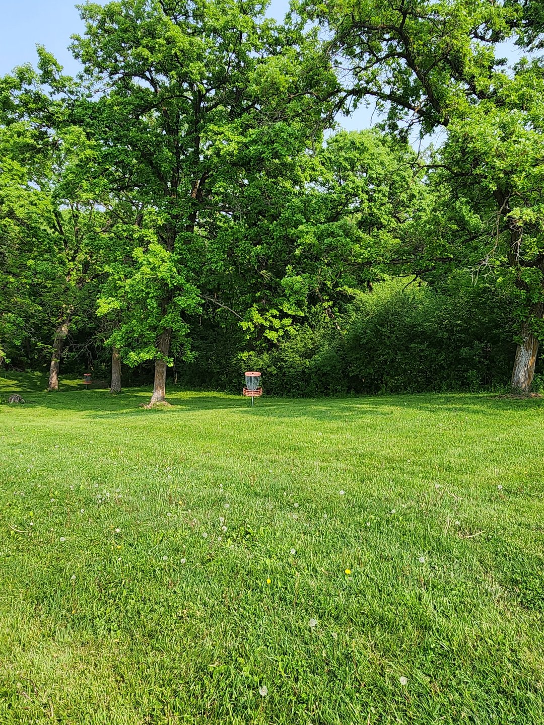 Hole 3 green.