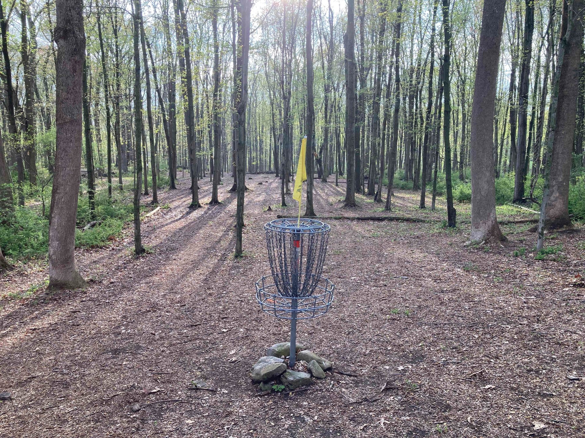View from Hole 3 basket back up fairway