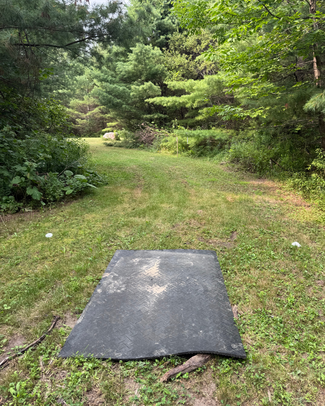 Hole 14 tee pad
