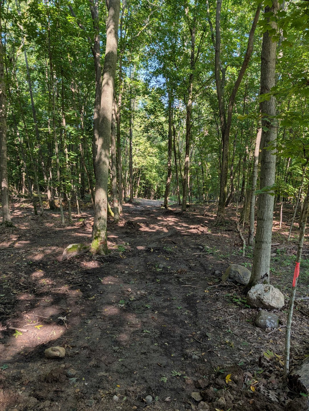 Hole 18 - Fairway from long tee - straight shot through the initial gap that starts bending to the right