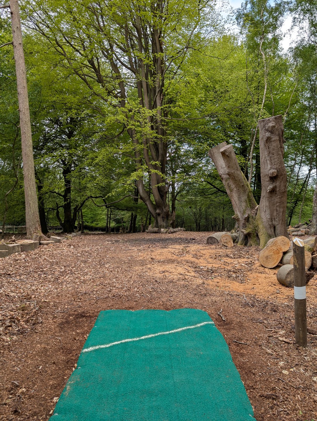 White hole 18