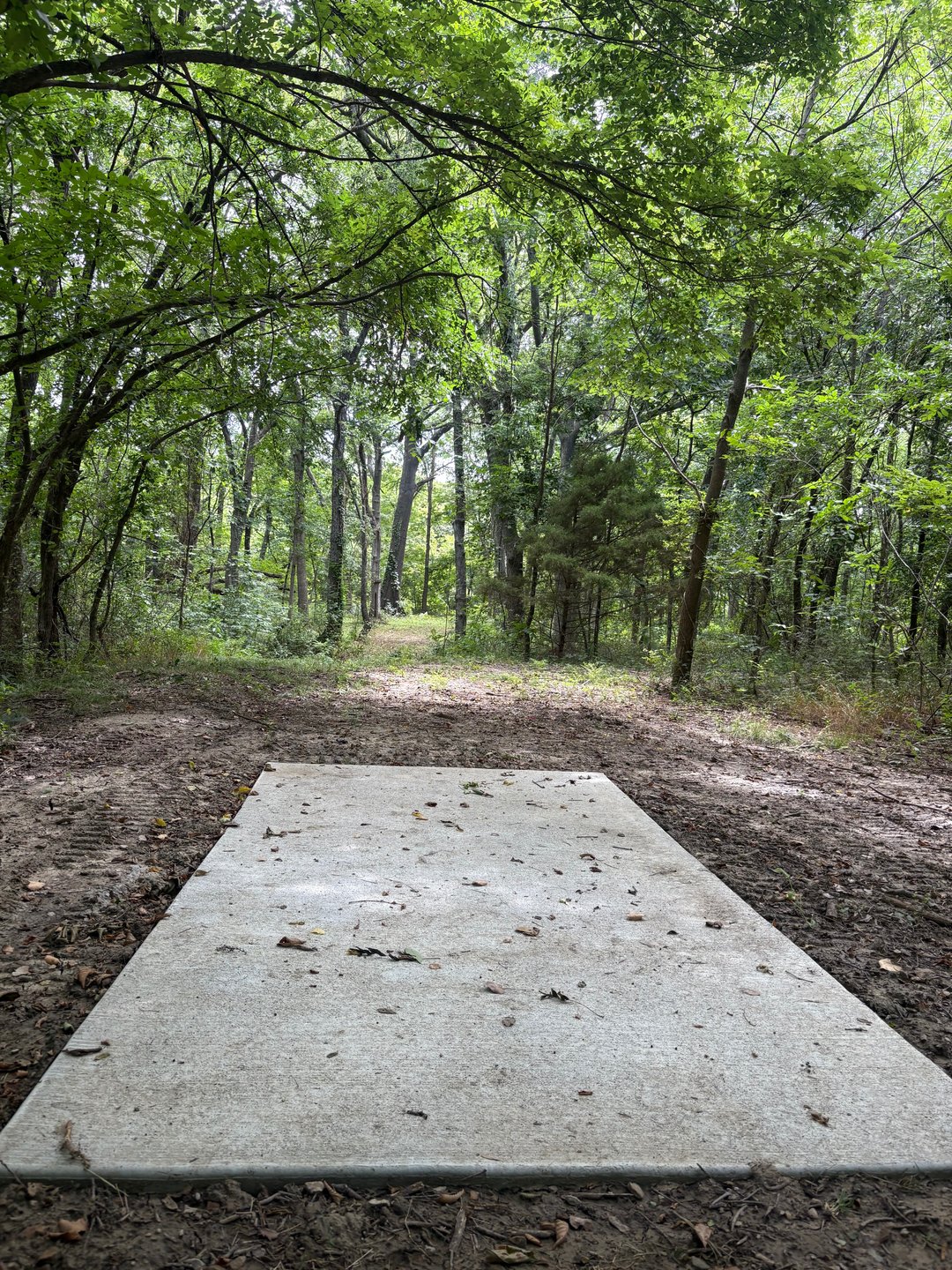 Polar opposite of hole 14.  This time we have a hard dog leg right with the added water feature lurking in dangerously in the background.  