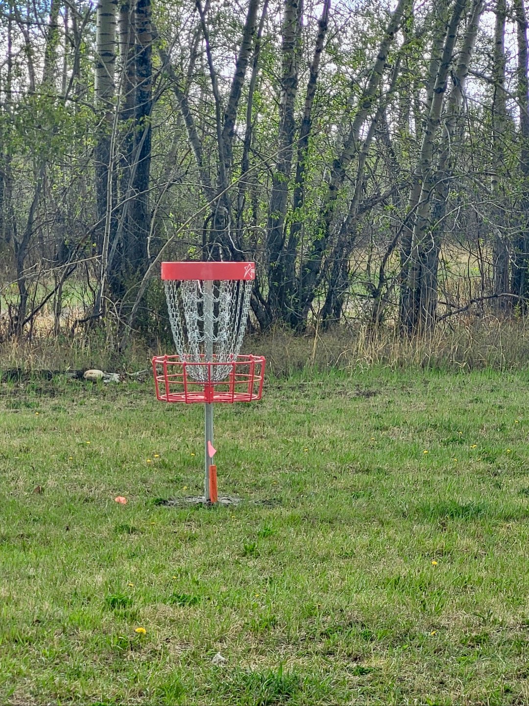 Practice basket near hole 1.