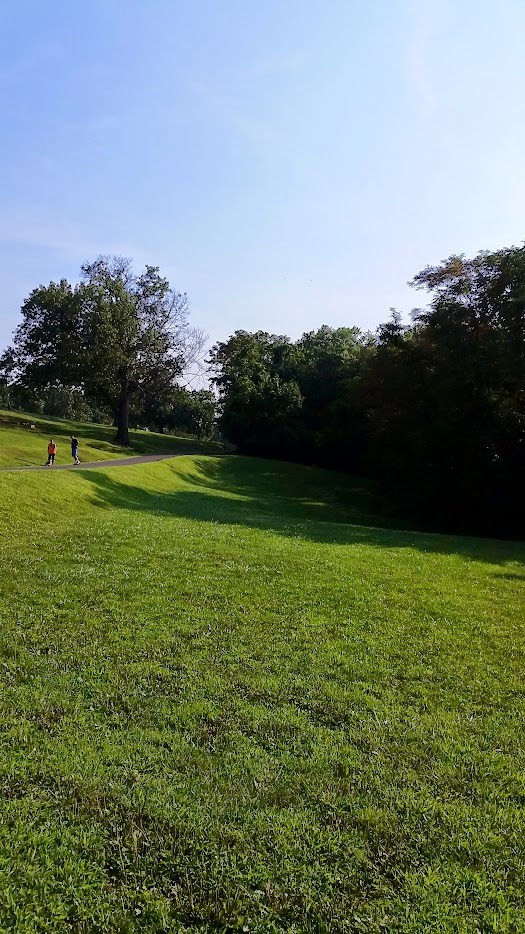 Photo from short tees.  Basket could be on the ridge on the right side of the road in two different places (left of ridge near road or more center of the ridge).  There is a third position beyond the ridge at the back of a small valley.