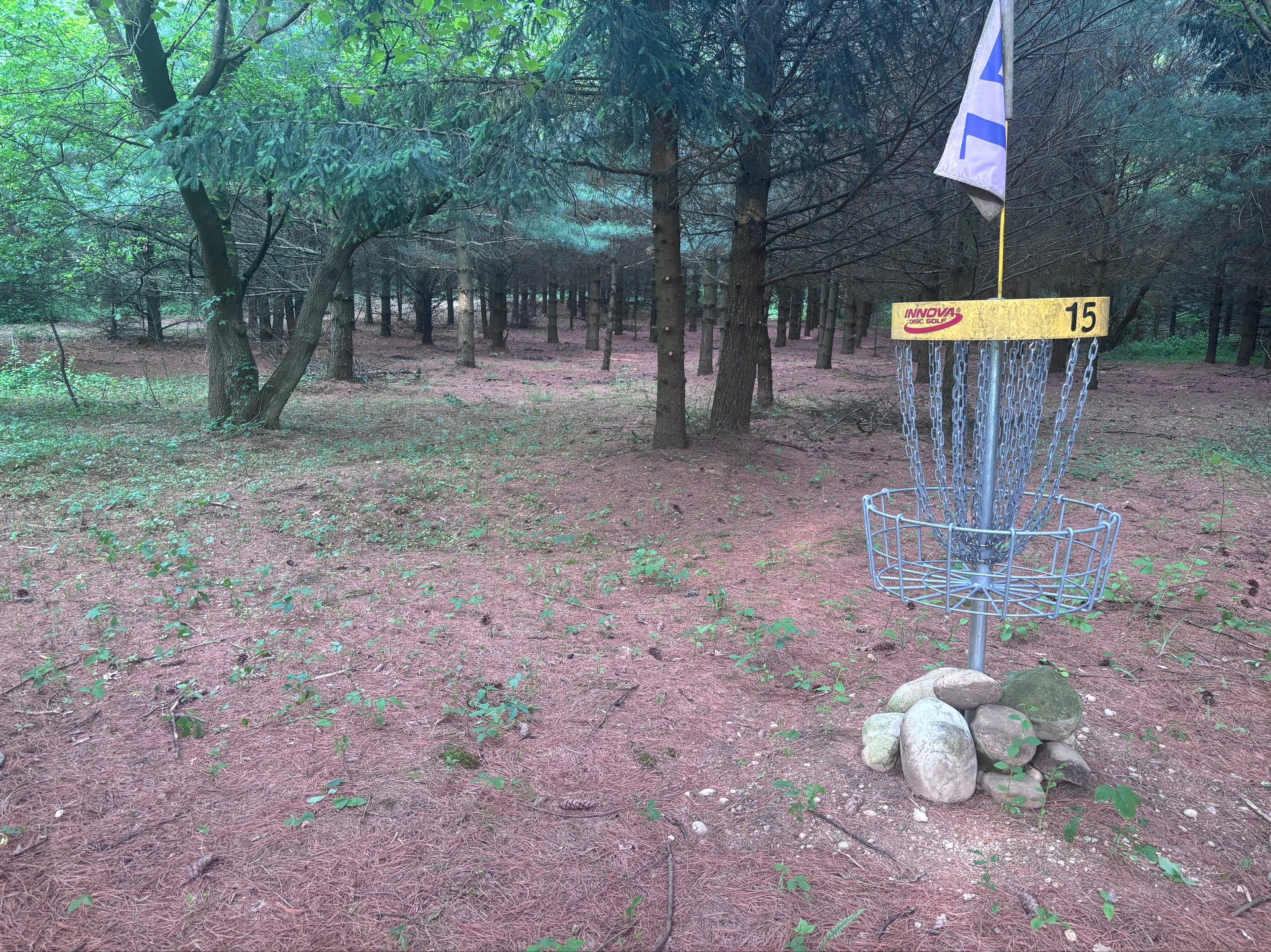Looking back at the narrow low ceiling 15th which features the course’s only hole through the pines.