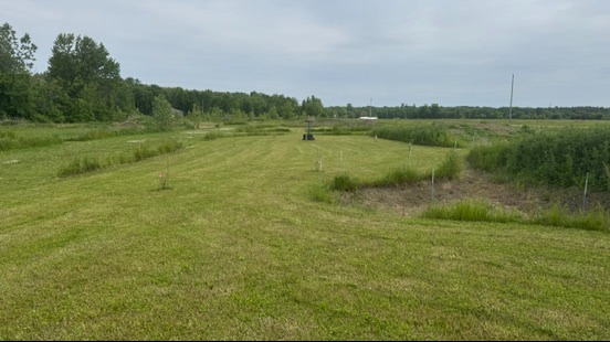 Hole 9 green. 