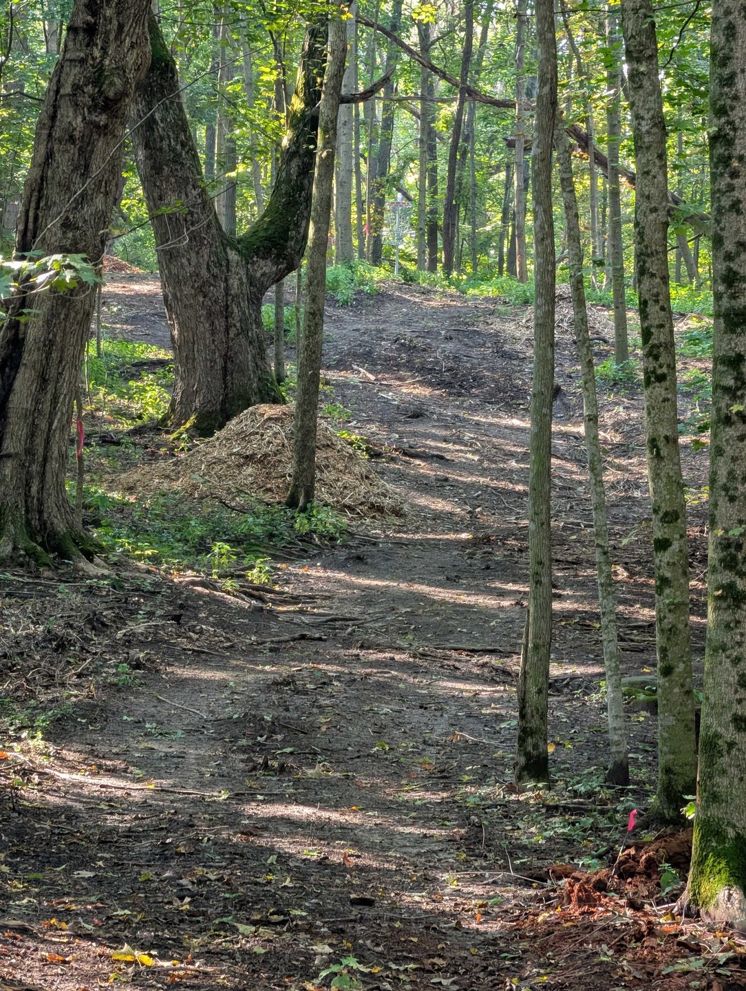 Hole 10 - Zoomed in pin location from short tee