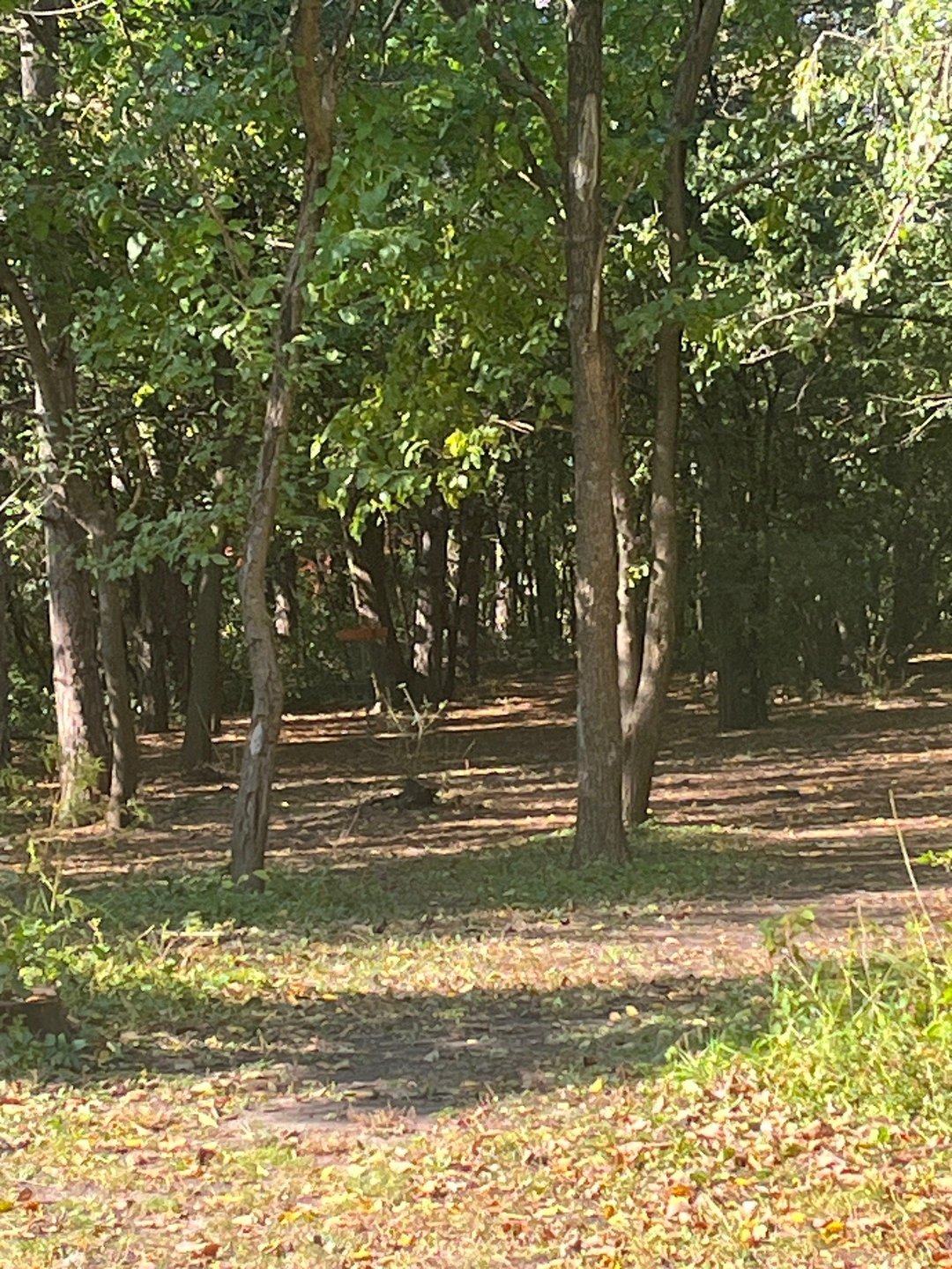 6 approach
