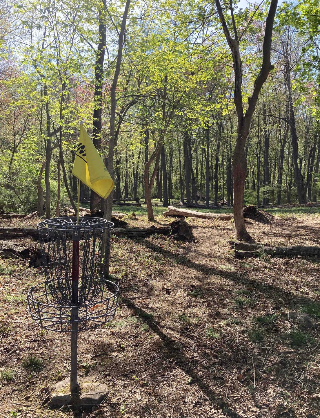 View from Hole 18 basket back up fairway
