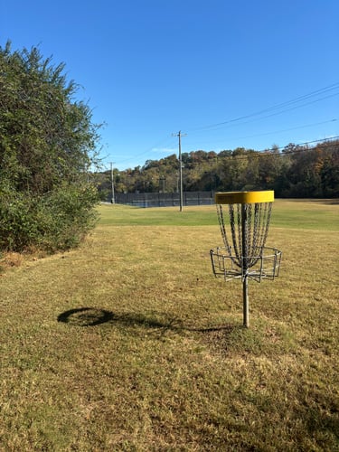 Hole #1 Basket to Tee