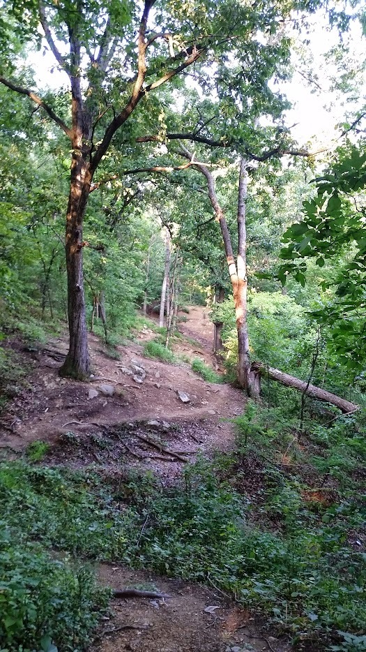 The basket is just visible but that position is no longer valid due to erosion.  There are two other positions further to the back, one left and one right.