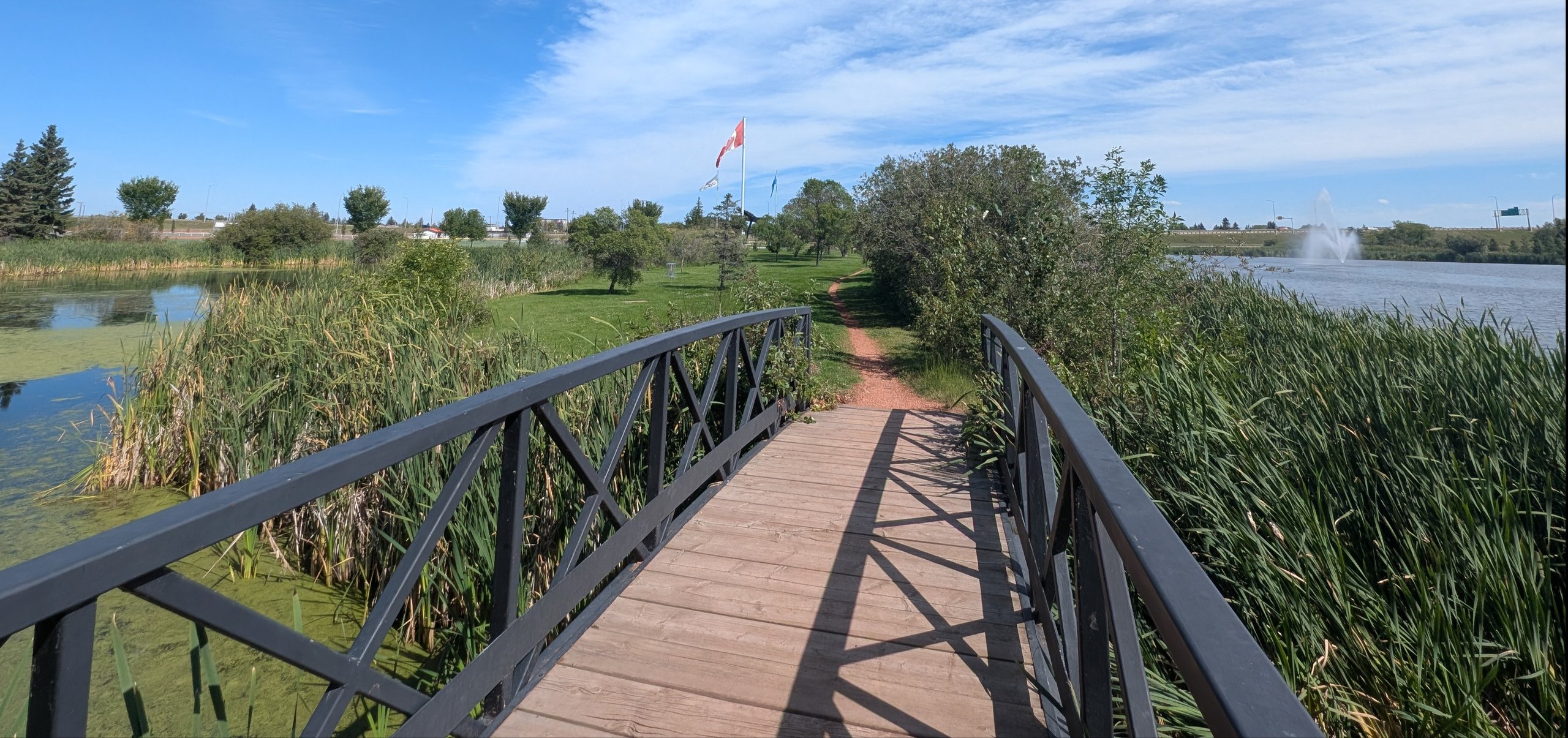Look back at #2 Basket from the bridge to hole #3
