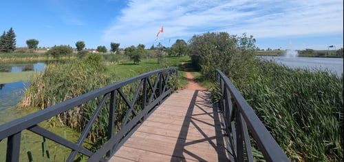 Look back at #2 Basket from the bridge to hole #3