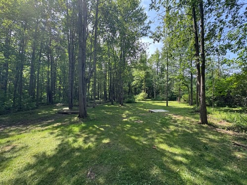 View from fairway 4 towards the basket