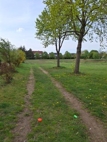 Tee 6
Mando left last tree on the right