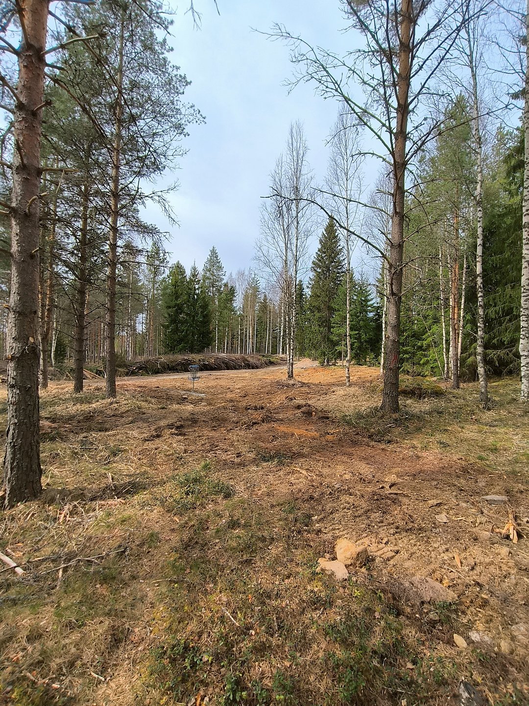 Uudistettu kultaväylä.