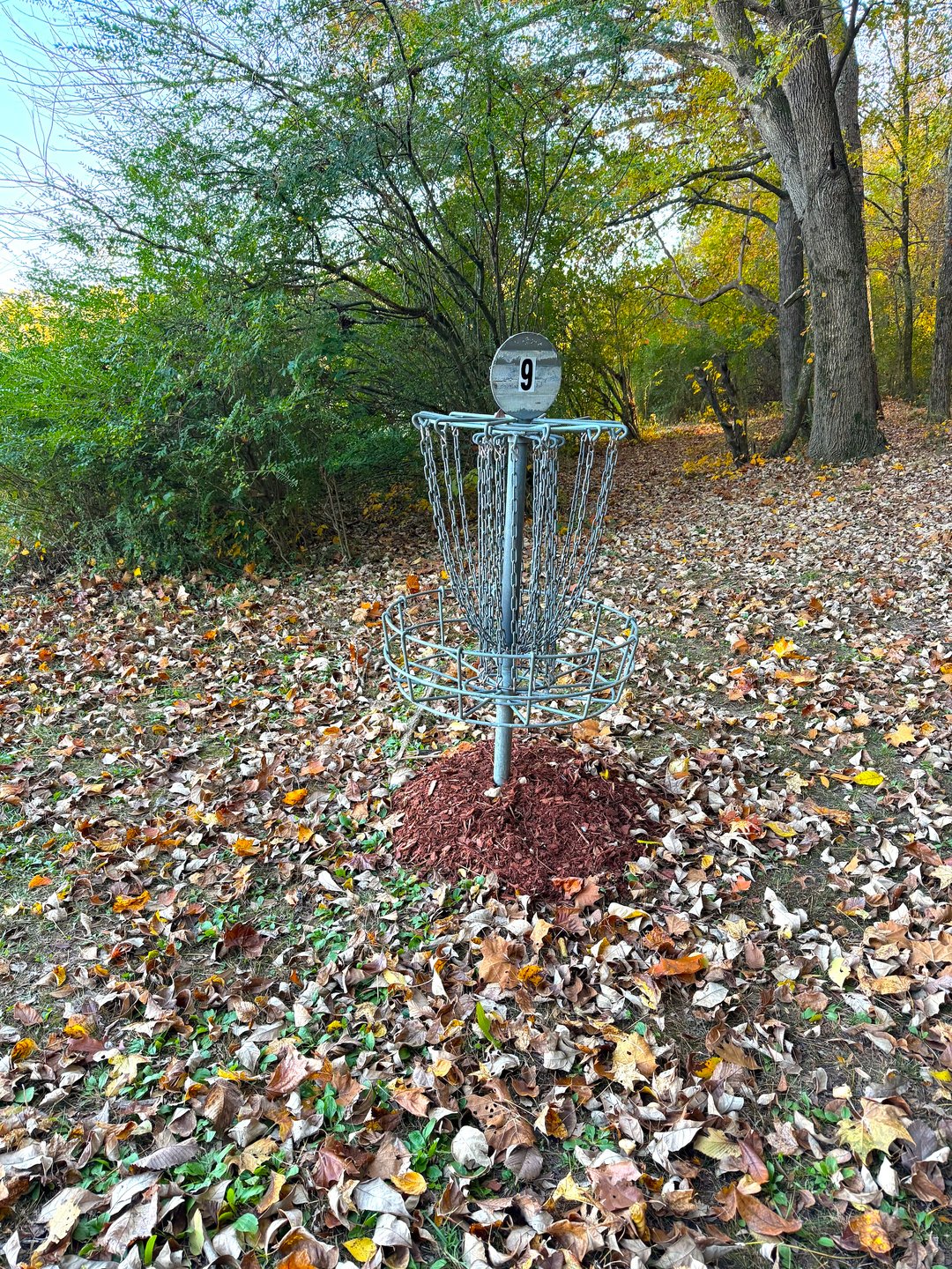 Hole 9 Basket