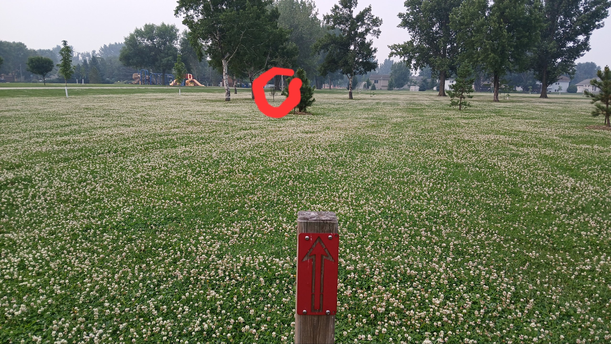 Smooth shot, perfect for watching the other people in the park!

121ft