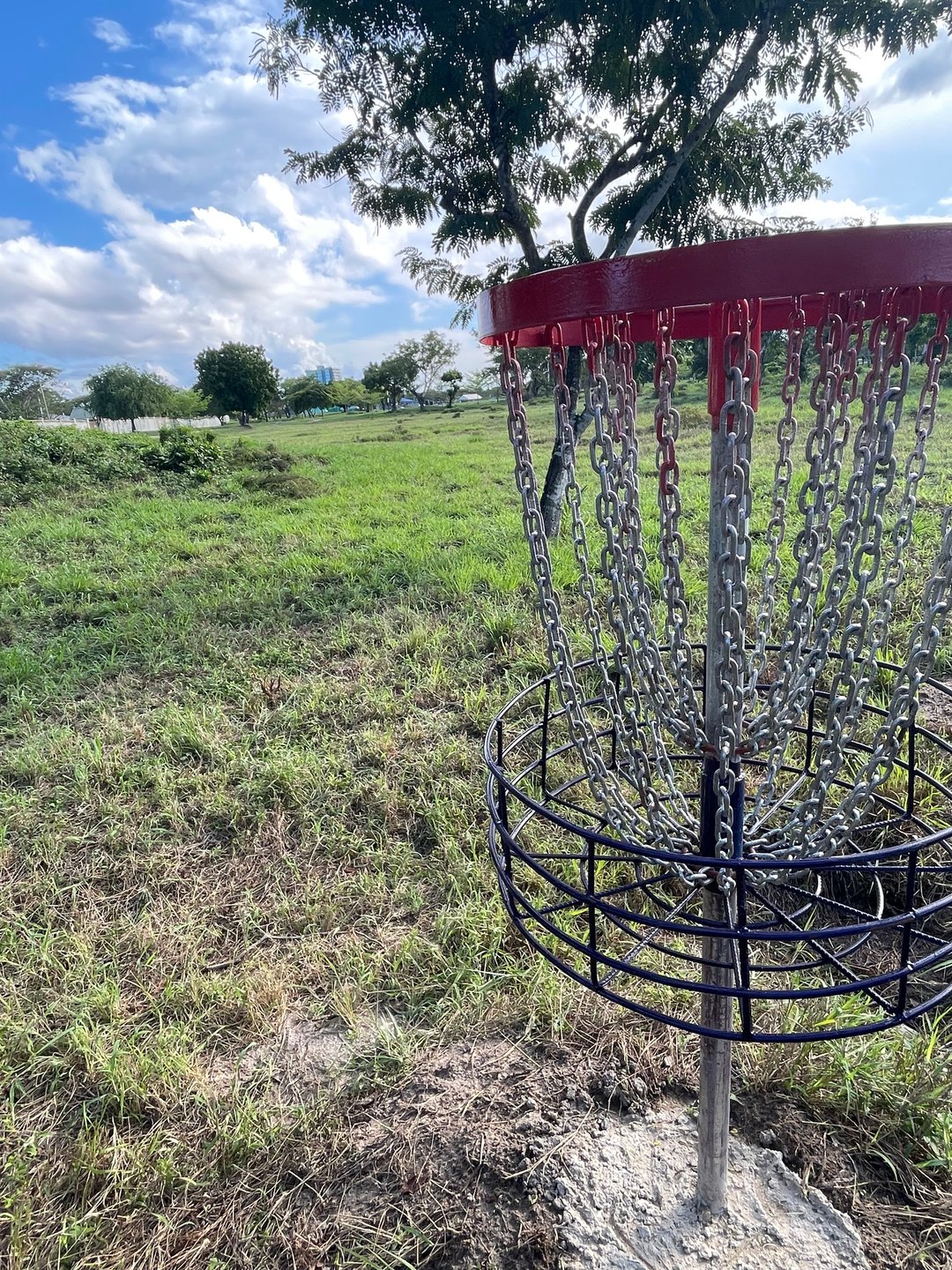 Hole 4 Basket