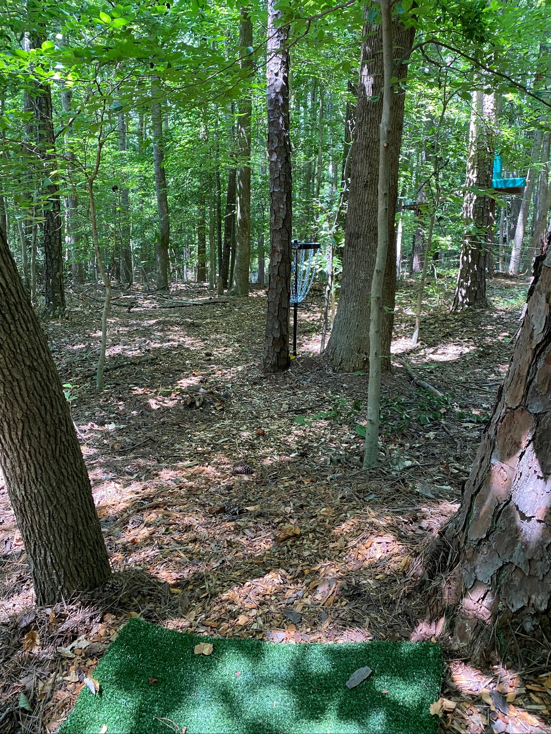 Straight through the trees