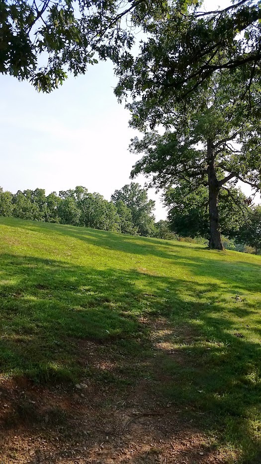 Photo from Short Tees.  Basket can on the right or left of the large tree in the distance.  In both cases it is past that big tree.