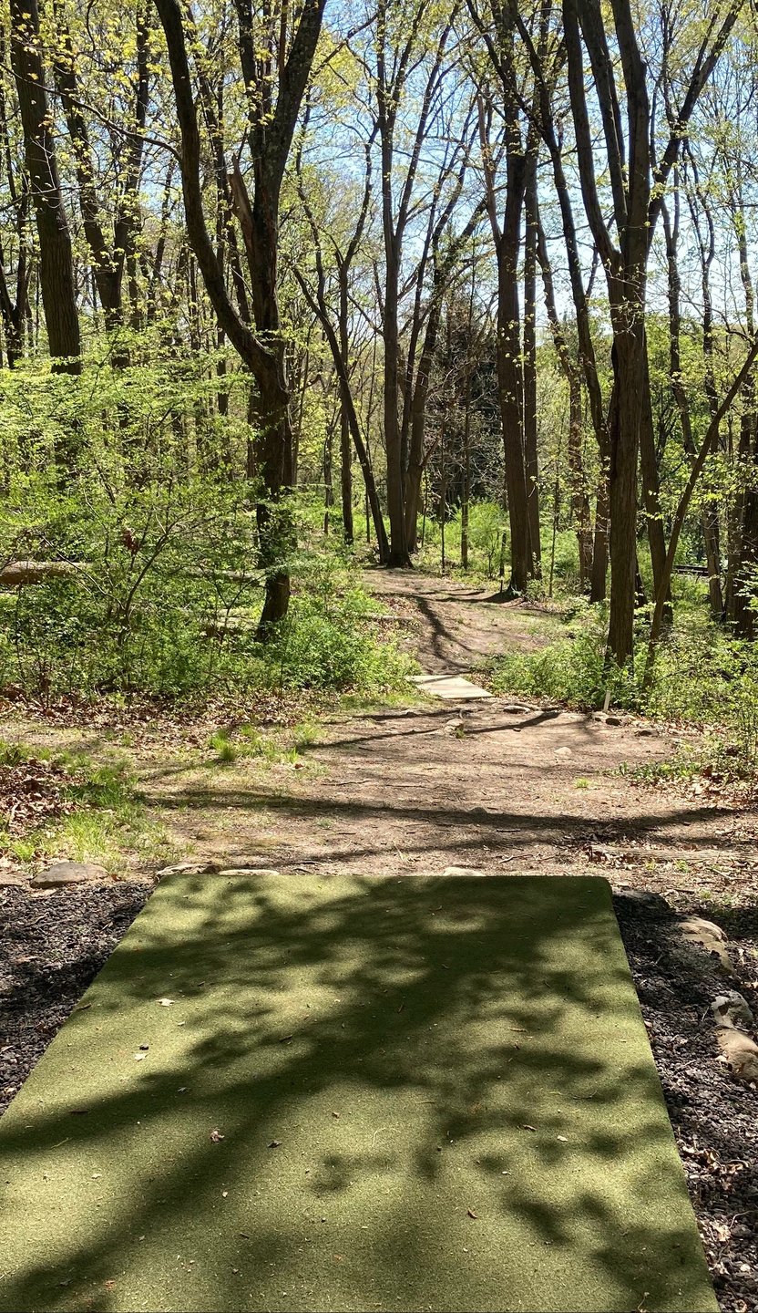 View from Hole 5 blue tee