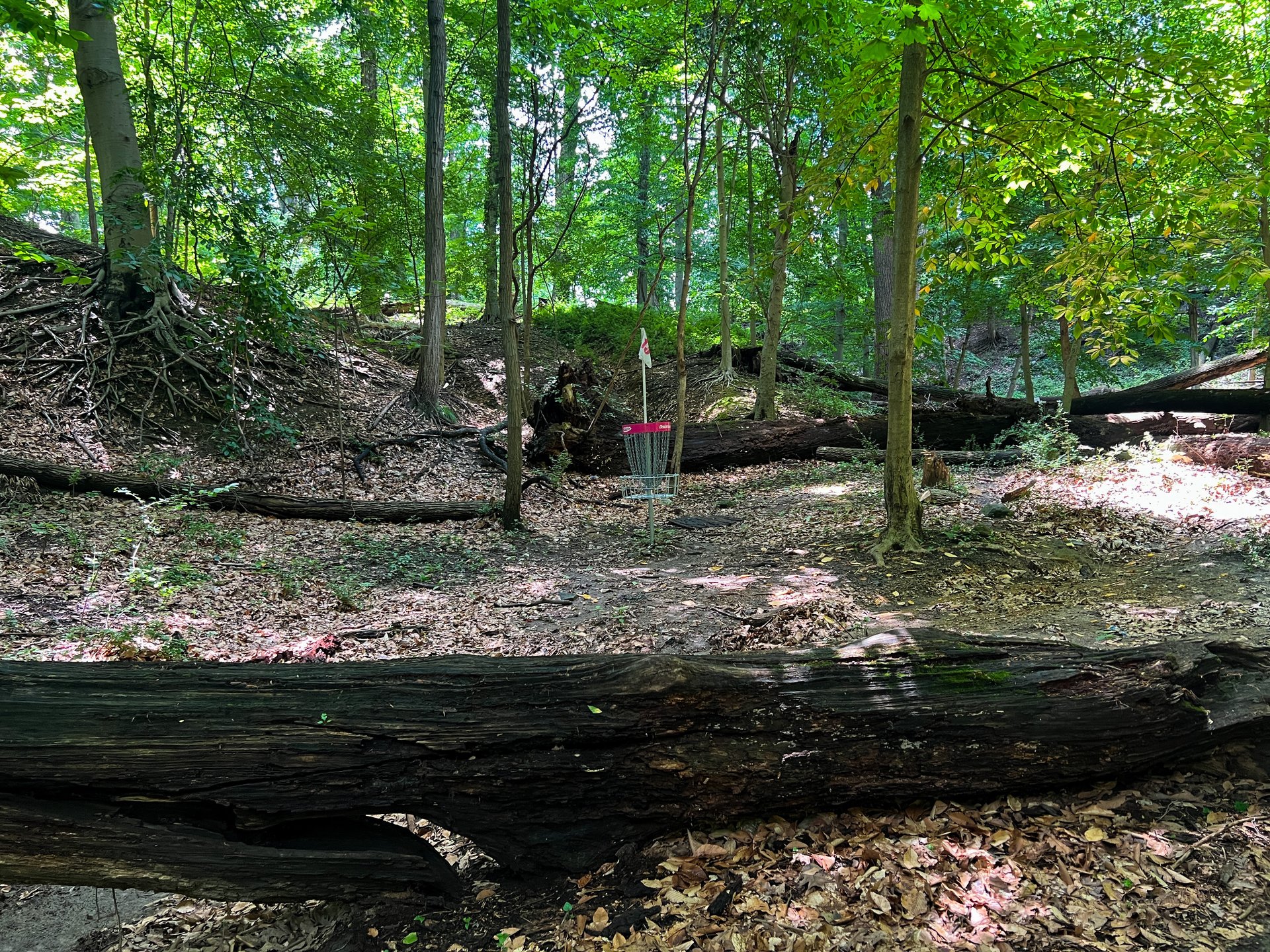 Hole 13's Pink basket. Par 4. 401 ft. 14's tee is to the right. 
