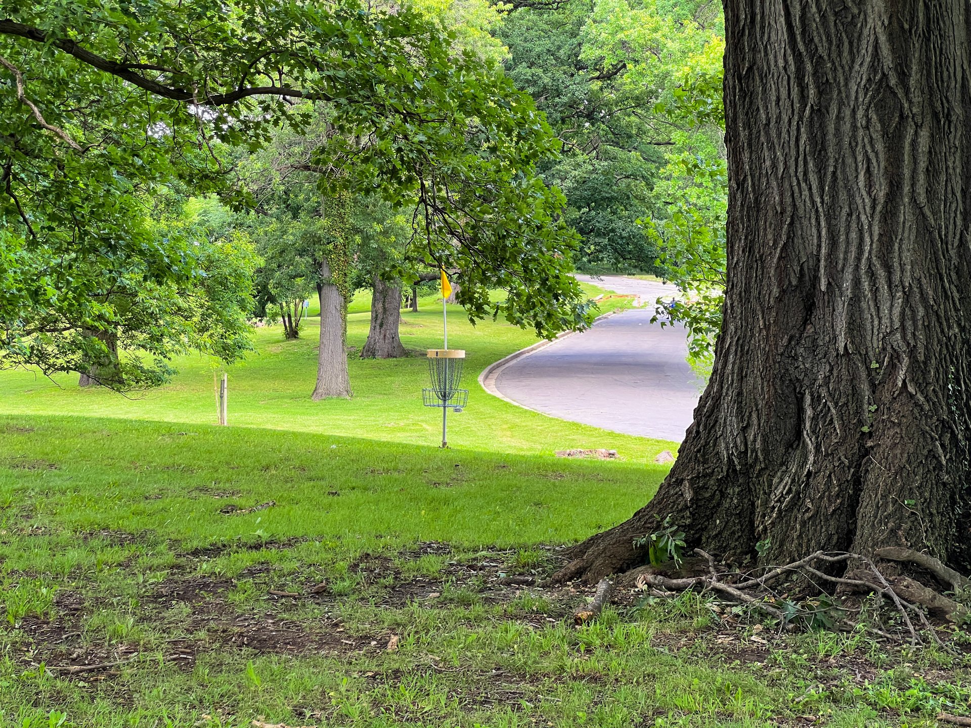 Hole 8's Yellow Basket. Par 4. 601 ft. Road is OB. 