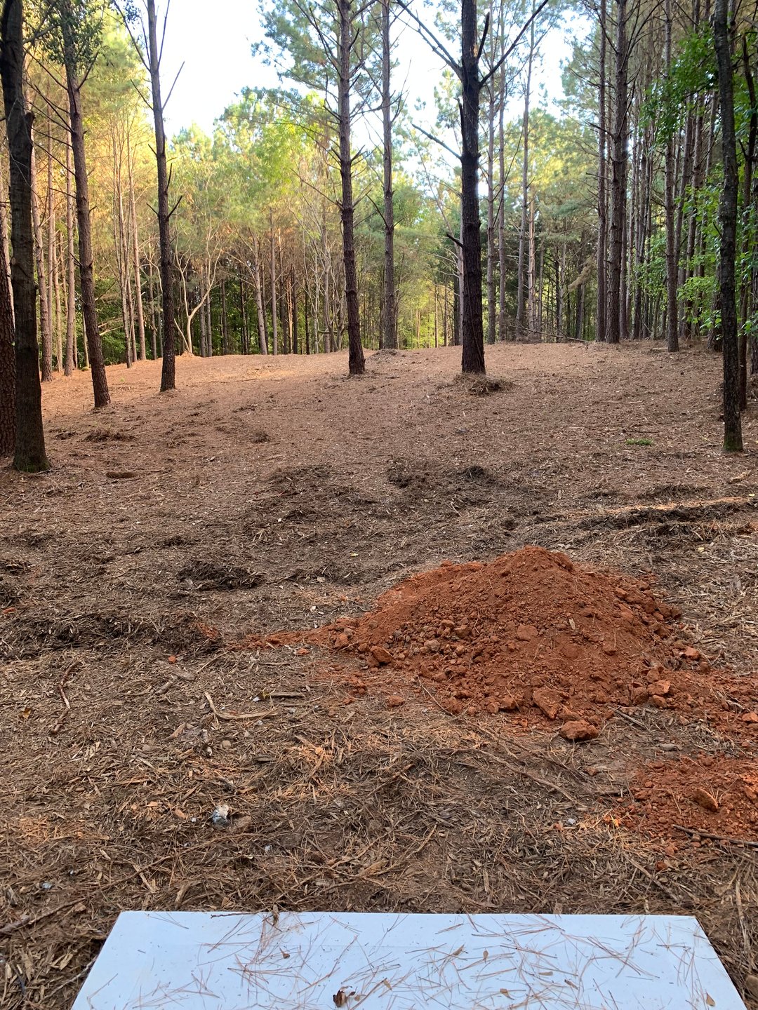 Hole 14 - Gold Tee (under construction)