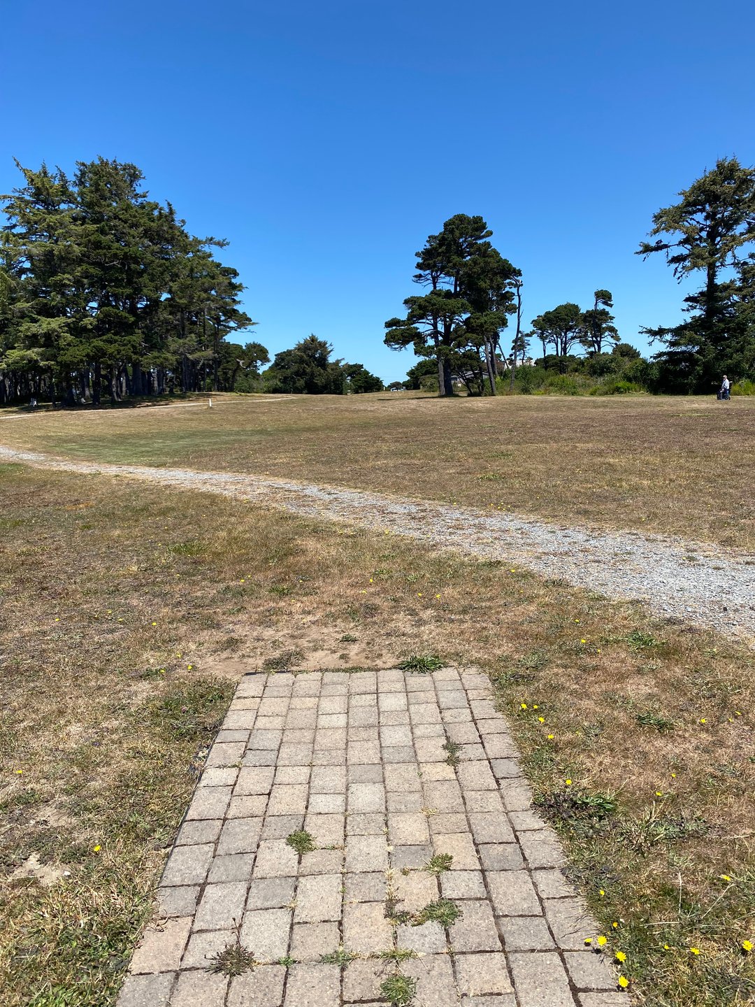 Tee pad for Hole 17 on the Main layout and Hole 28A on the Bandon 30 layout.