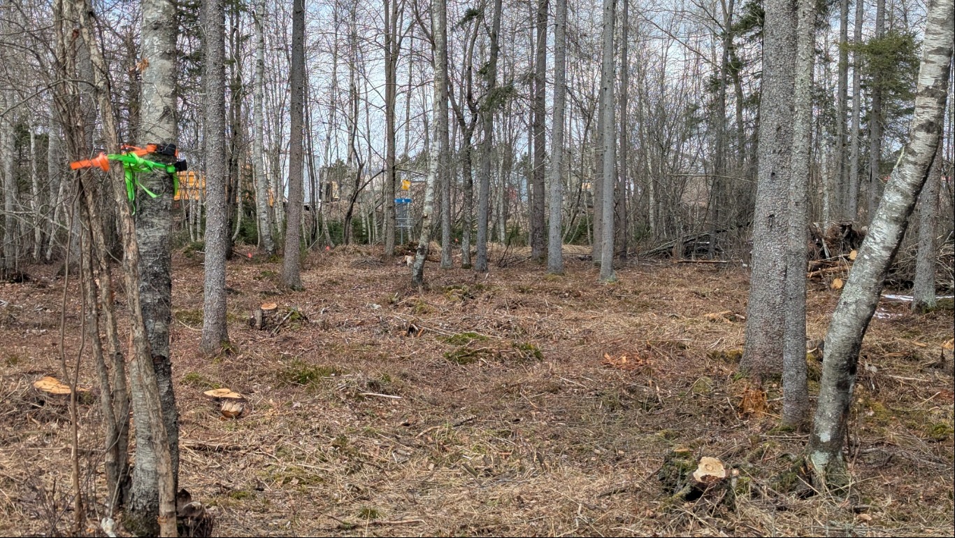 Hole 6 long approach