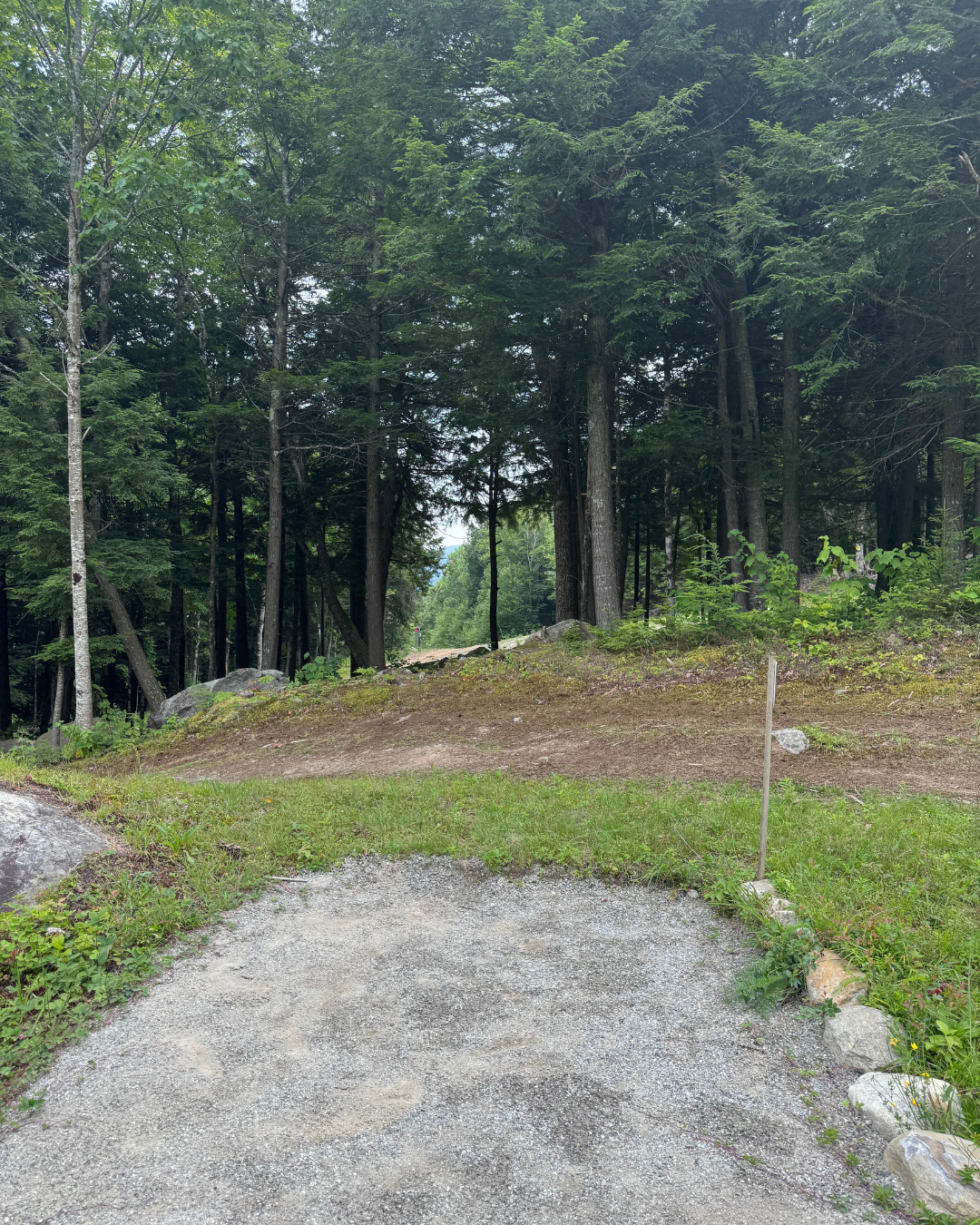 Hole 2 tee pad