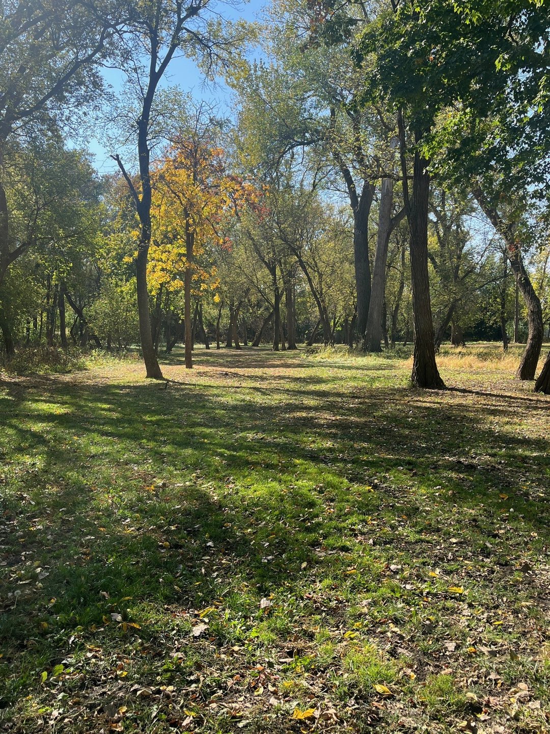 11 fairway
