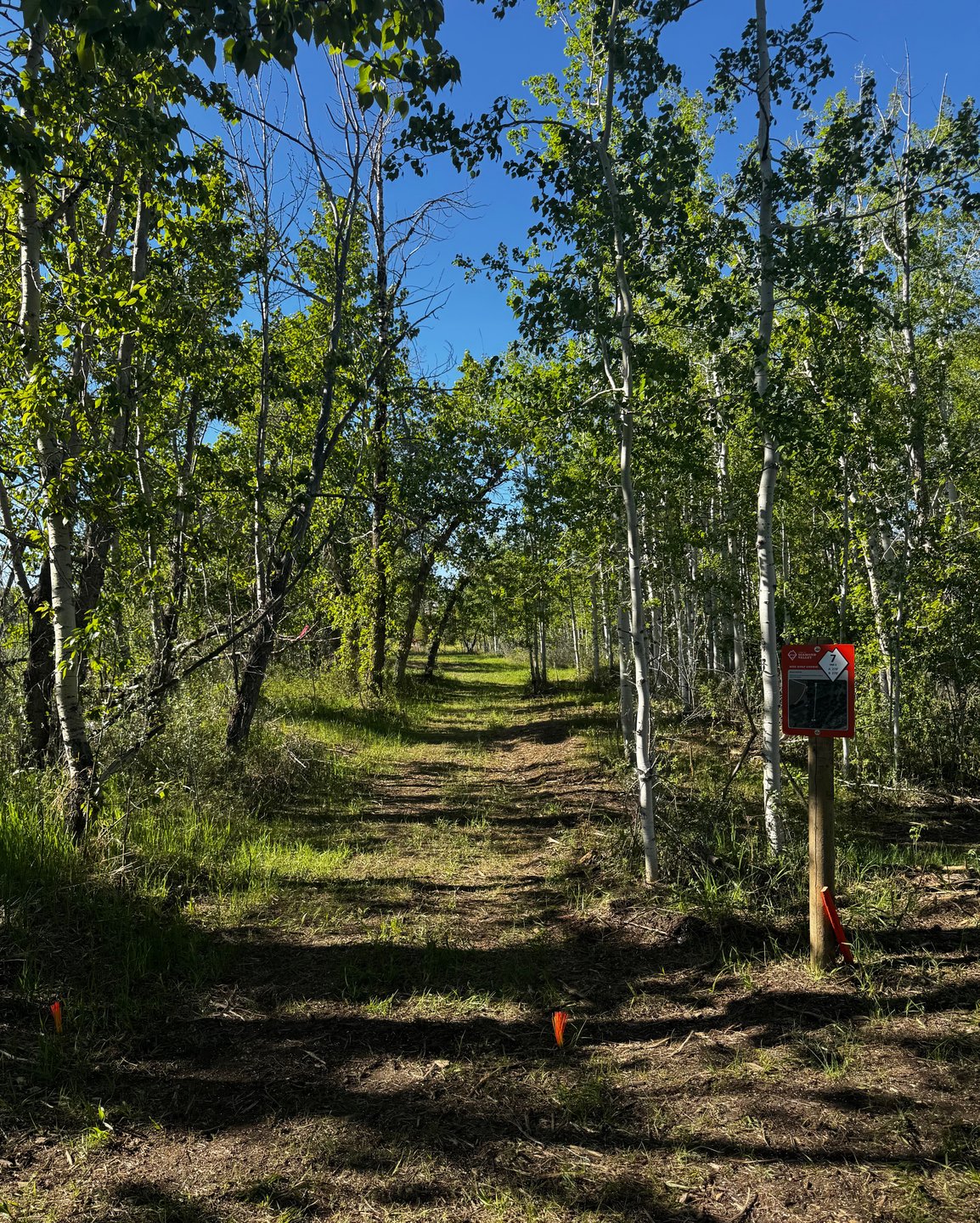 From the teepad area of hole 7 looking down the tunnel. 