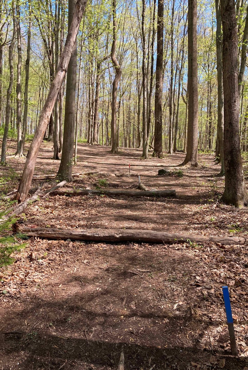 View from Hole 2 blue tee