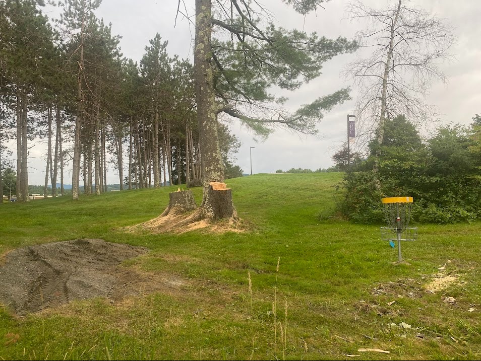 Hole 9 Basket after trees by basket were cut. 