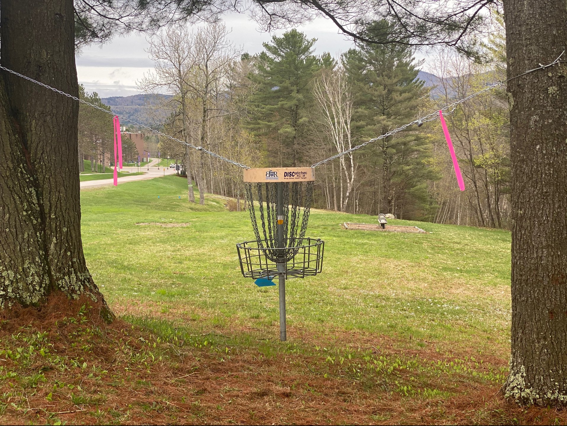 Picture of basket looking back at tee box. Moved hanging basket to the right. 
