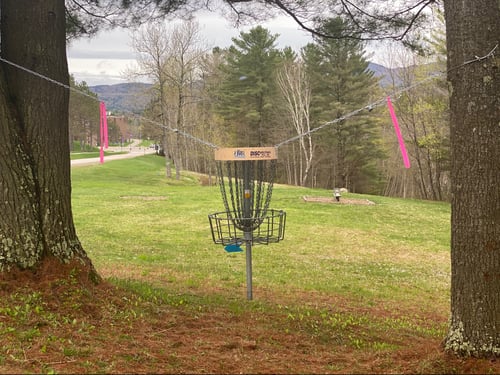 Picture of basket looking back at tee box. Moved hanging basket to the right. 